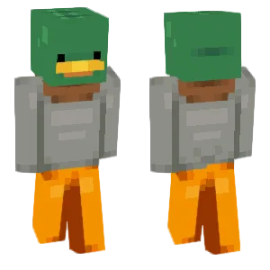 Mallard Duck