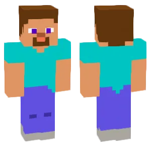Animation Steve