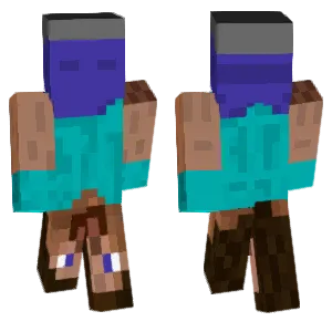 Steve but he's upside down
