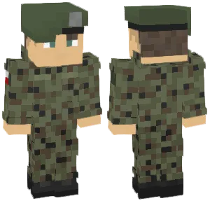 polish military