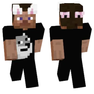steve dog
