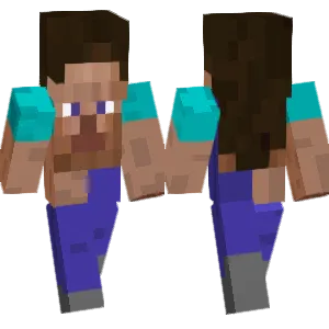 Totally Normal Steve!