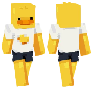 Duck with T-Shirt