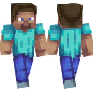 Ink version of Steve
