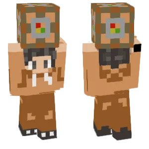 Command Block