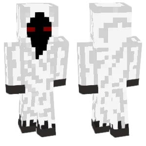 Entity 303