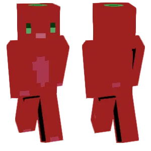 Tomato Sunny