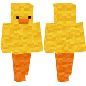 Wool Duck