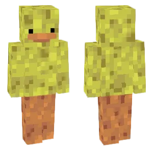 Sponge Duck
