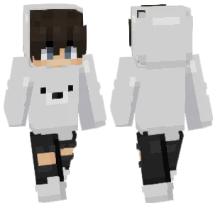 Polar Hoodie