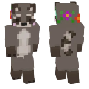 raccoon