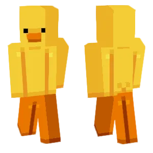 2D Duck