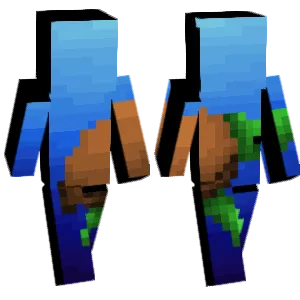 Sea Turtle