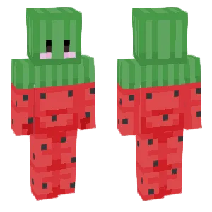 Watermelon that has traveled back from summer